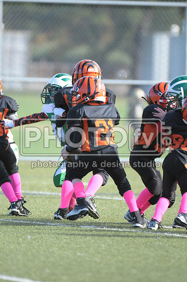 BDAYF_10-19-14_1103
