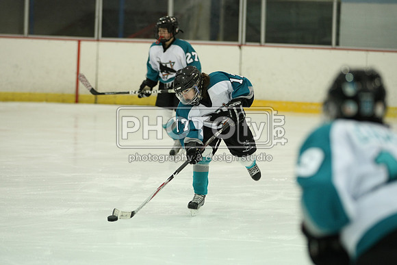 ICEPAL_2-20-12_1032