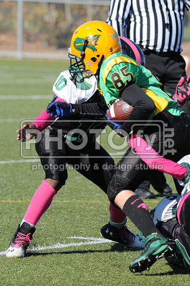 NJAYF_10-27-13__2011