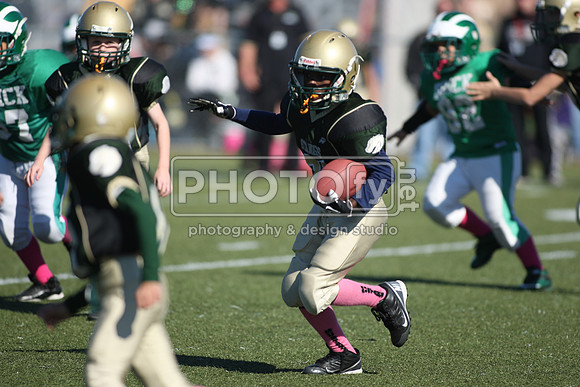 BDHS_10-20-13__1428