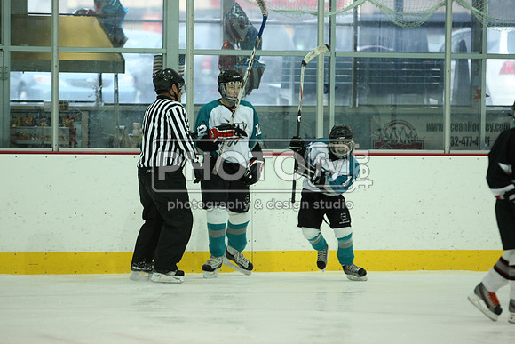 ICEPAL_2-20-12_1168