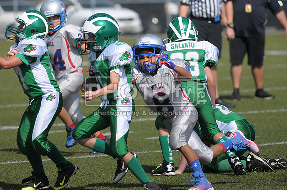 BDAYF_09-07-14_1701