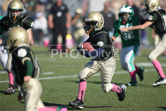BDHS_10-20-13__1427