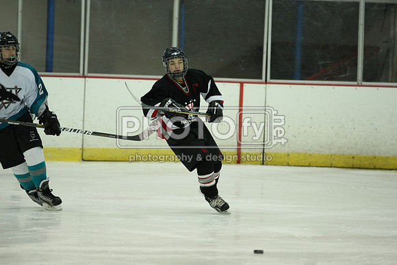 ICEPAL_2-20-12_1133