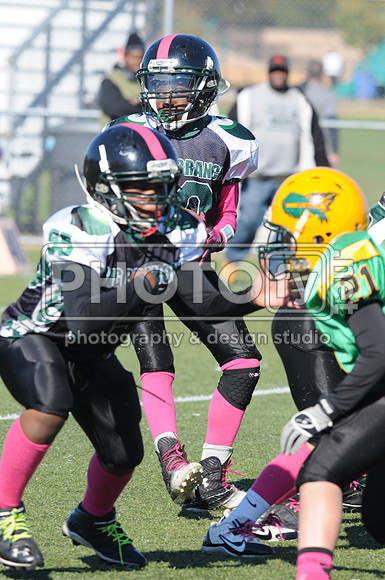 NJAYF_10-27-13__1960