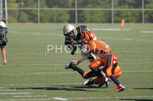 BMAYF_9-22-13_1504
