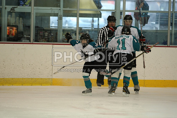 ICEPAL_2-20-12_1170