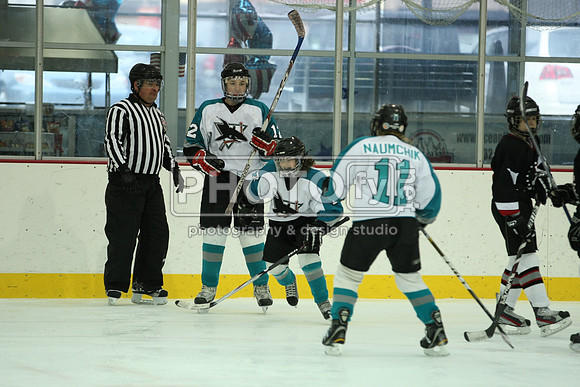 ICEPAL_2-20-12_1167