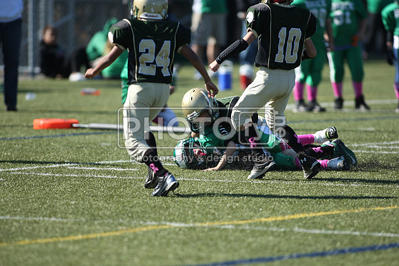 BDHS_10-20-13__2041