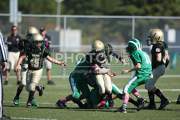 BDHS_10-20-13__2093