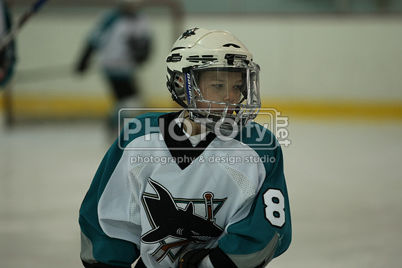 ICEPAL_2-20-12_1007