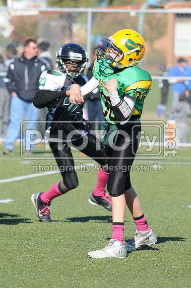 NJAYF_10-27-13__2009