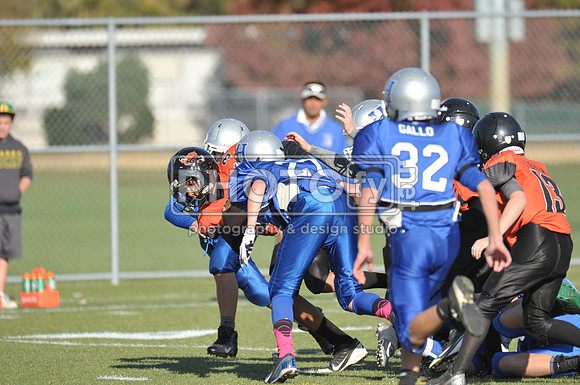 NJAYF_11-3-13_2202