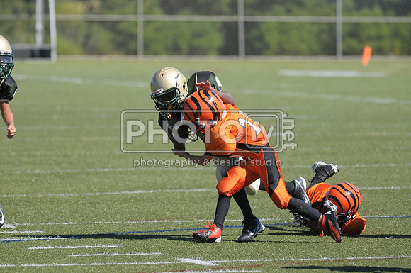 BMAYF_9-22-13_1505