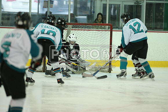 ICEPAL_2-20-12_1042