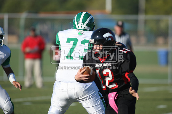 BDHS_10-6-14_1252
