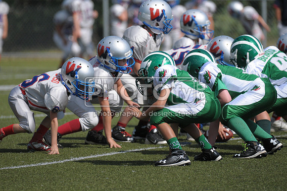 BDAYF_09-07-14_1731