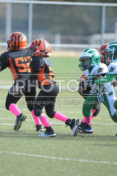 BDAYF_10-19-14_1088