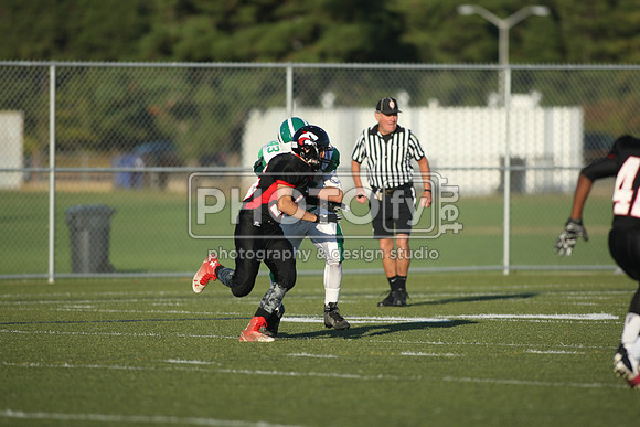 BDHS_10-6-14_1630