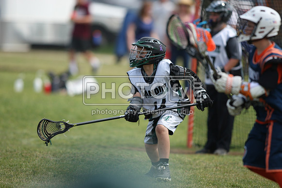 BYLT_05-17-15_13861