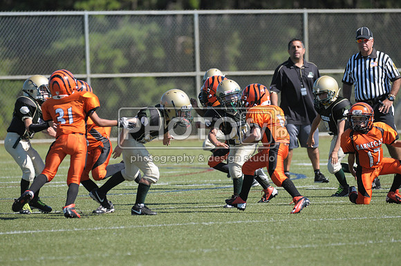 BMAYF_9-22-13_1574