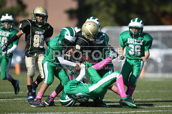 BDHS_10-20-13__2124