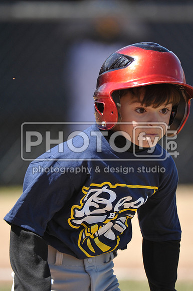 BTLL_4-11-15_1993