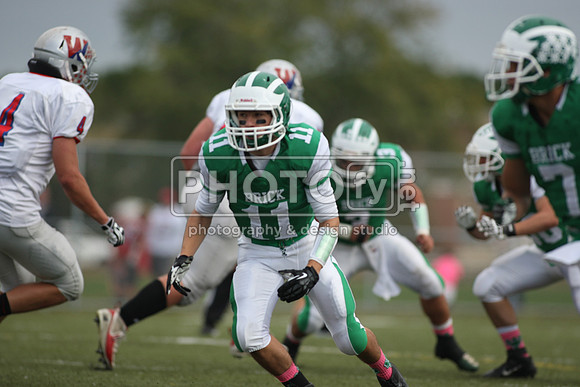 BDHS_10-12-13__1234