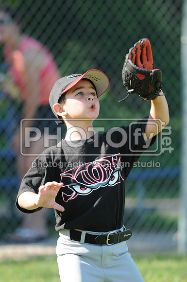 BTLL_6-1-13_1009