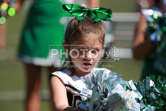 BDAYF_9-6-15_1035