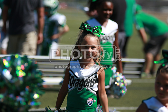 BDAYF_9-6-15_1055