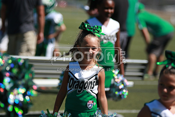 BDAYF_9-6-15_1056