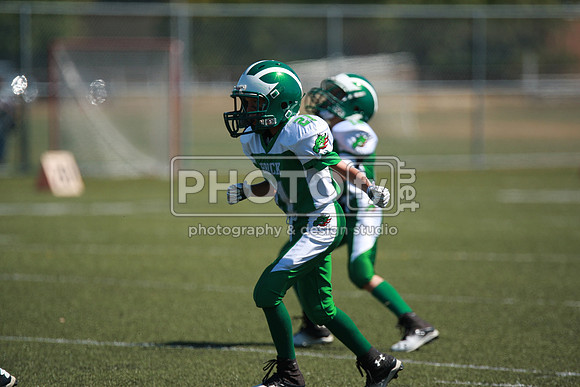 BDAYF_9-6-15_1079