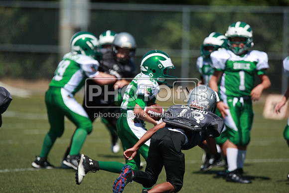 BDAYF_9-6-15_1412