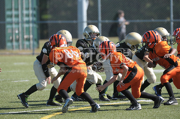 BMAYF_9-22-13_1441