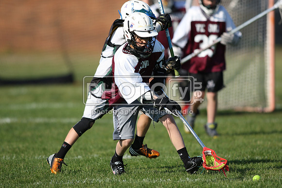 BLSWT_05-18-14_1833