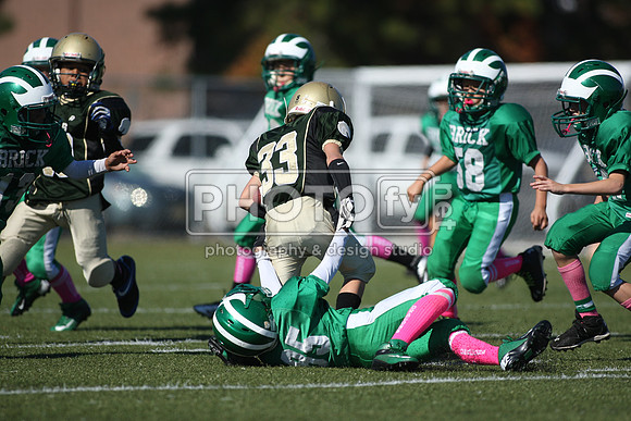 BDHS_10-20-13__2119
