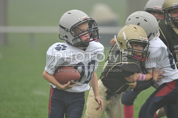 LLAYF_10-6-13_1064