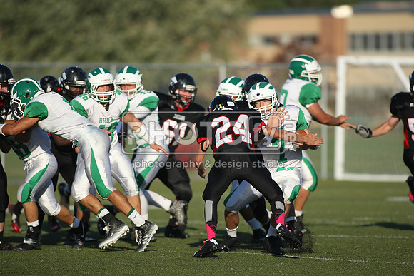 BDHS_10-6-14_1516