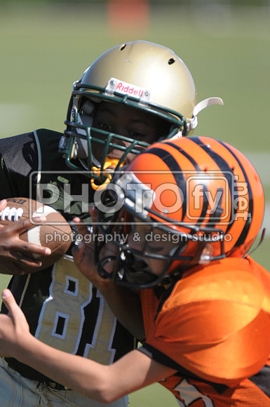 BMAYF_9-22-13_1487