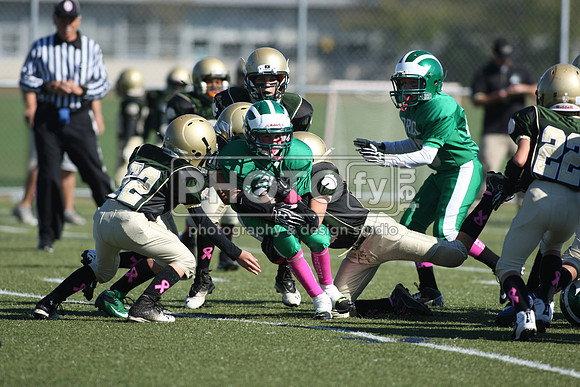 BDHS_10-20-13__1576
