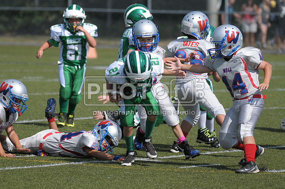 BDAYF_09-07-14_1650