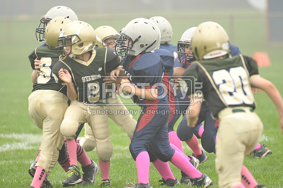 LLAYF_10-6-13_1456