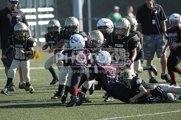 BMAYF_9-22-13_1106