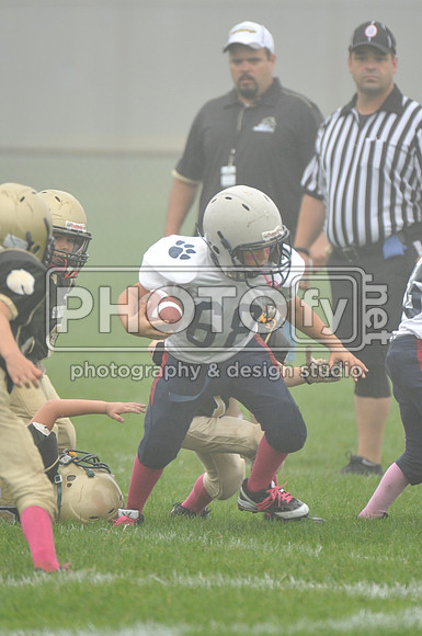LLAYF_10-6-13_1096