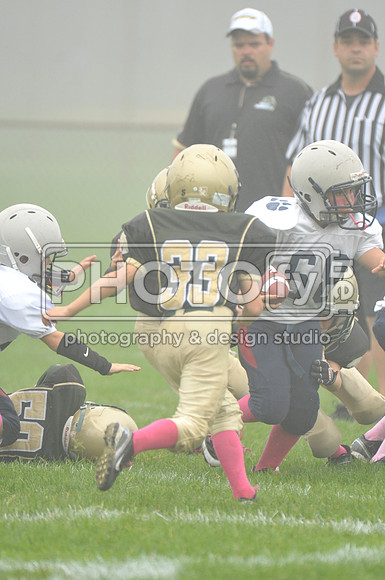 LLAYF_10-6-13_1098