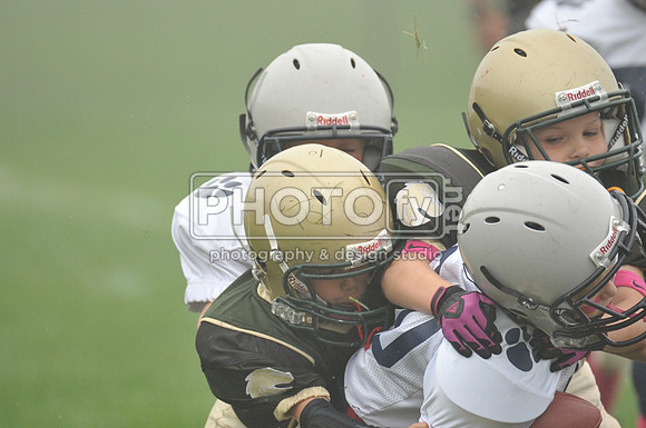 LLAYF_10-6-13_1072