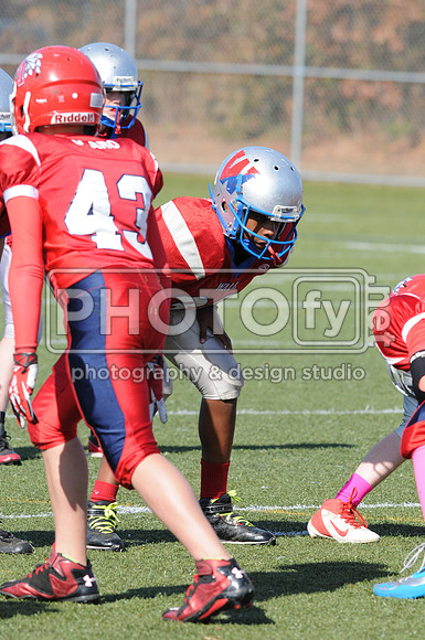 NJAYF_10-27-13__1779