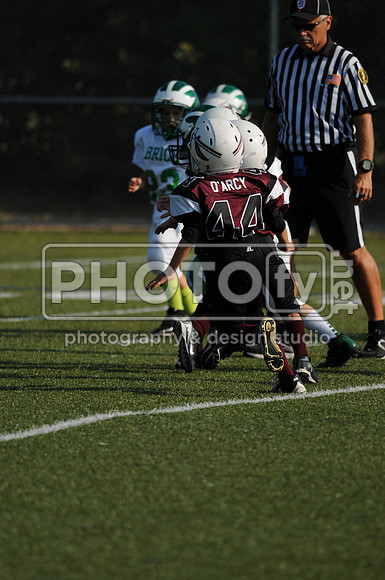BDAYF_9-8-13__1091