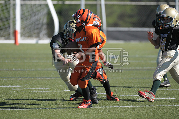 BMAYF_9-22-13_1422